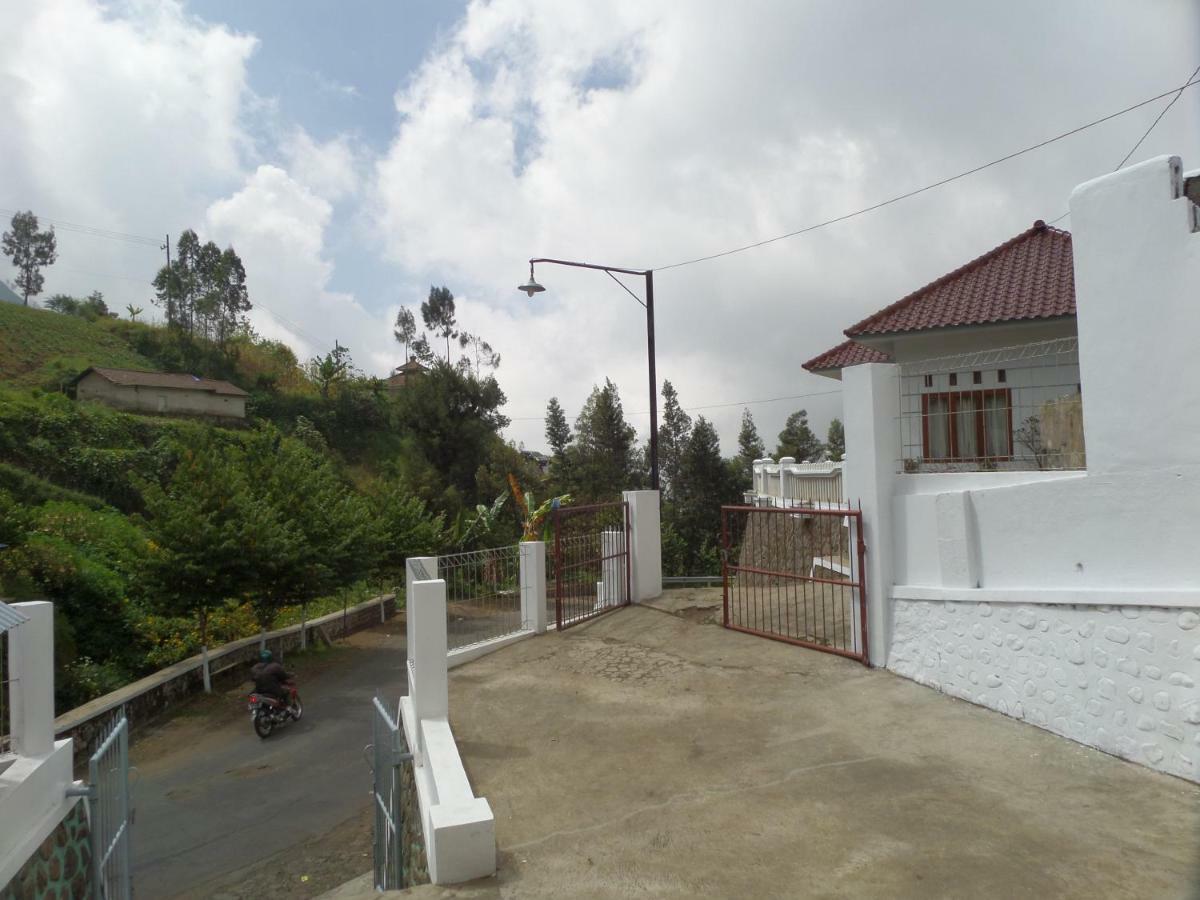 Savana Guesthouse Bromo Exterior photo